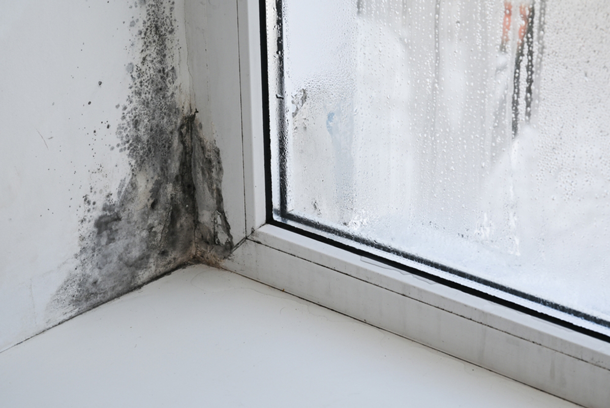 Fenstersanierung